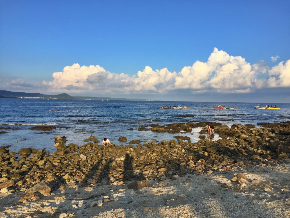 alt-以一顆尊重的心，掀開潮間帶神秘面紗-1