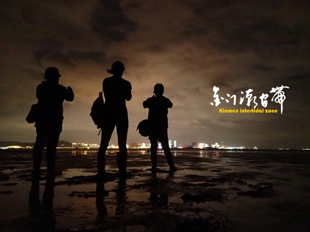 alt-以一顆尊重的心，掀開潮間帶神秘面紗-5