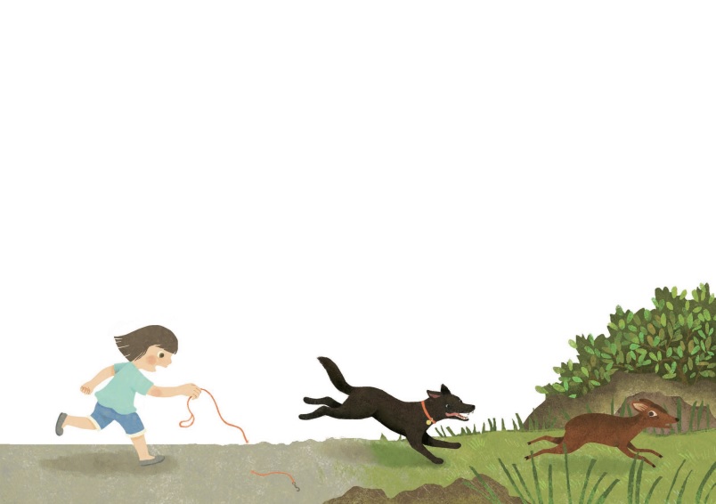 故事的源起是掙脫牽繩的家犬,追逐著山羌,跑著跑著都迷路了(國家公園網站編輯小組提供)