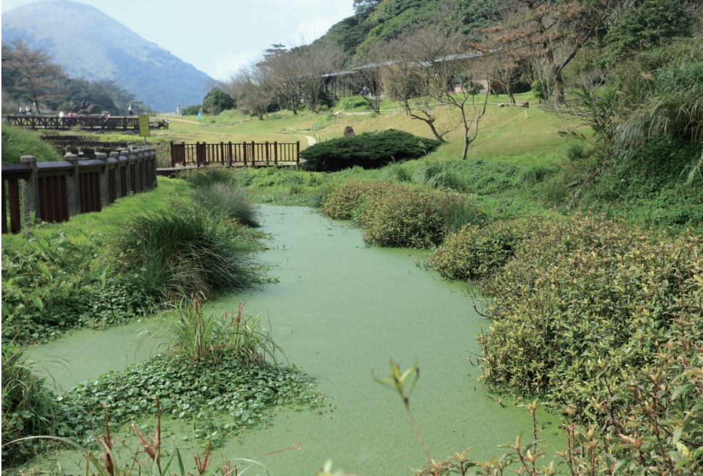 alt-自由自遊，無礙出遊—二子坪遊憩區-3