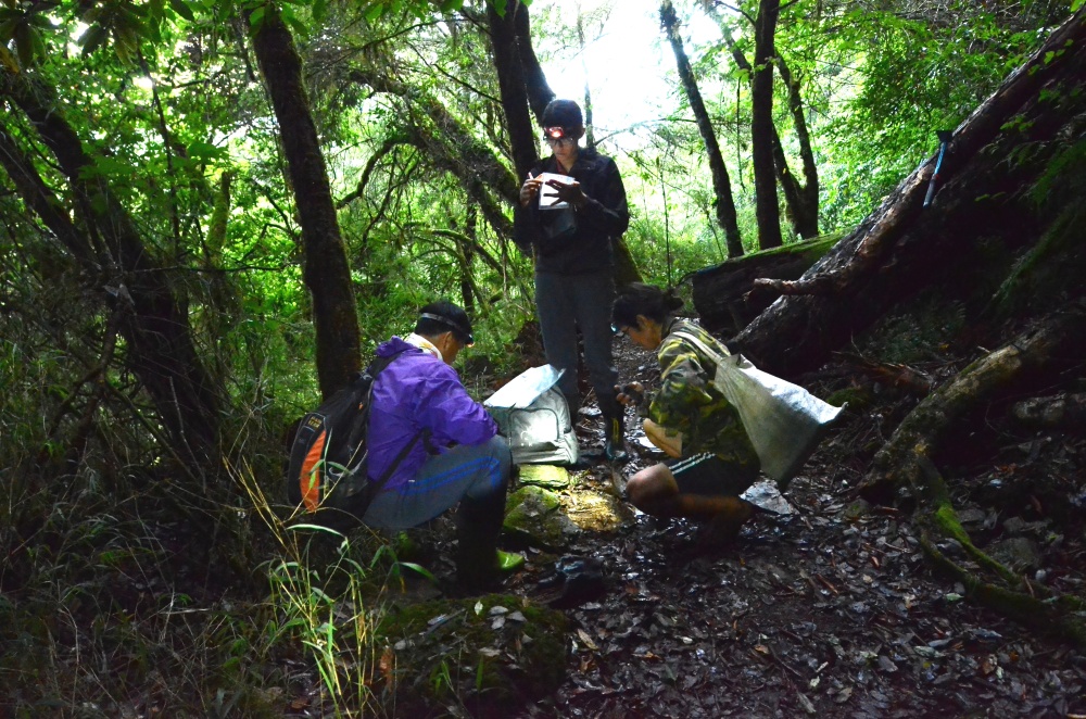 調查團隊在野外進行調查
(雪霸國家公園管理處提供)
