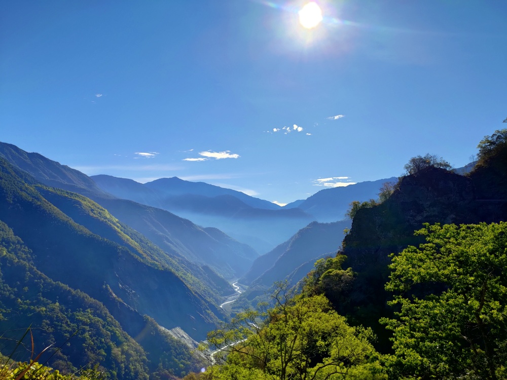 alt-玉山國家公園南橫地區蕨類植物豐富度與分布-1