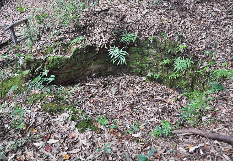 alt-玉山國家公園南橫天池遊憩區及中之關步道-3