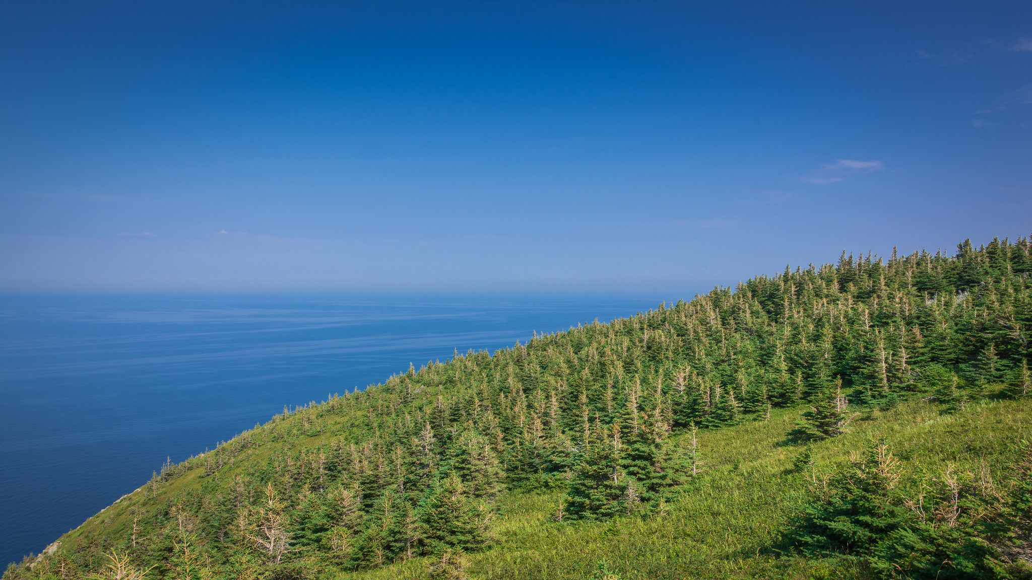 alt-令人振奮的好消息--加拿大推動中央與地方府際合作的保育計畫-1