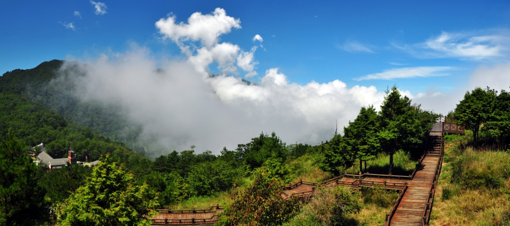 alt-雪霸國家公園觀霧雲霧步道-1