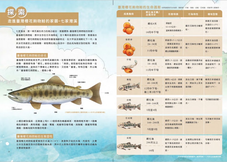 alt-《鮭寶魚兒的願望》繪本-5