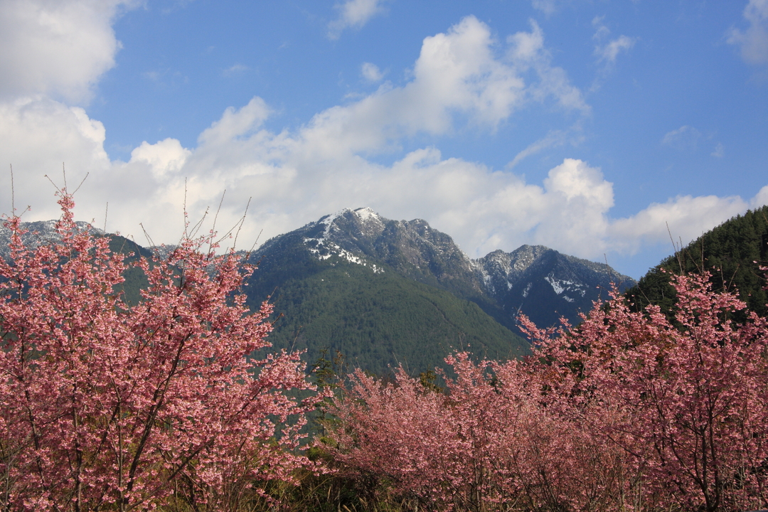 alt-雪霸國家公園武陵四秀-1