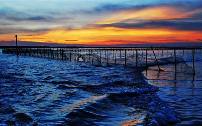 alt-台江產業文化-1