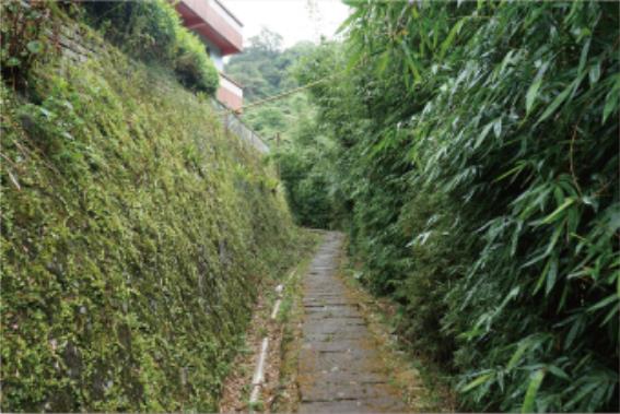 alt-陽明山國家公園坪頂古圳步道-1