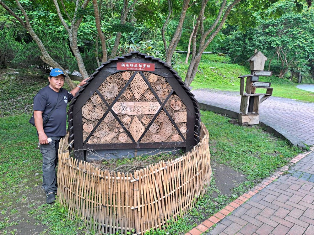 alt-生態新亮點 太魯閣布洛灣打造蜂旅館: 認識害羞友善的獨居蜂-1