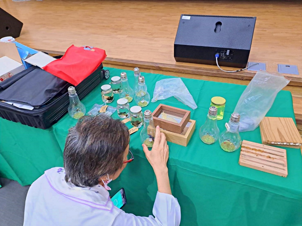 alt-生態新亮點 太魯閣布洛灣打造蜂旅館: 認識害羞友善的獨居蜂-3