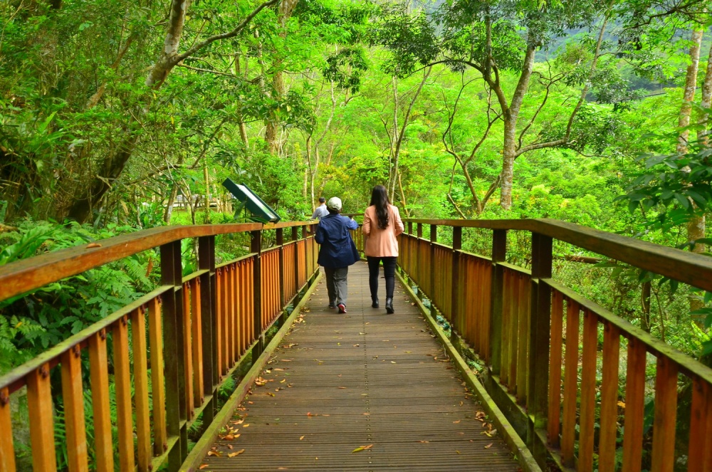 環流丘步道全長300公尺，都是架高的木棧道，前段可以推行輪椅和嬰兒車(太魯閣國家公園管理處提供)