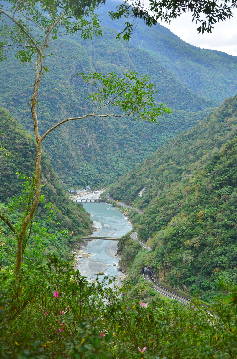 從環流丘步道俯瞰溪畔水壩(太魯閣國家公園管理處提供)