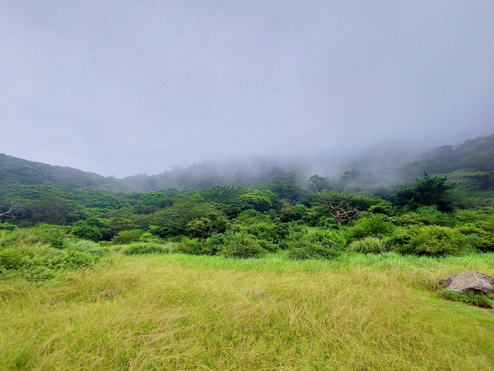 向天池是有名的火口湖(陽明山國家公園管理處提供)