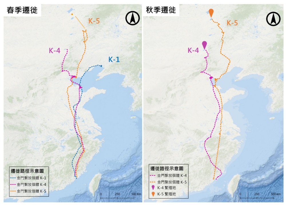 alt-金門鸕鶿遷移與生態研究-1