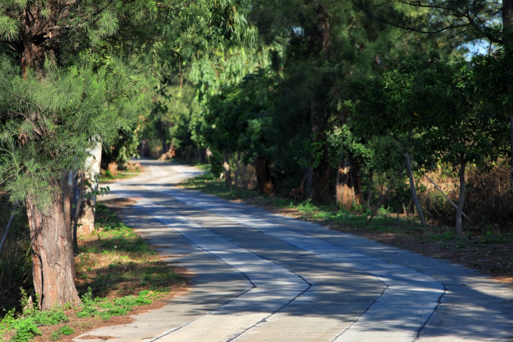 alt-金門國家公園南山林道-1