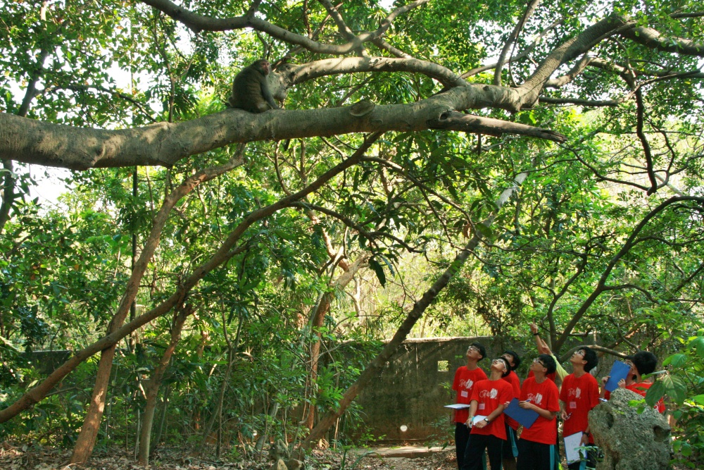 淺山學堂的戶外教學課程主要針對國中、小學生設計。本圖為臺灣獼猴課程(國家自然公園管理處提供)