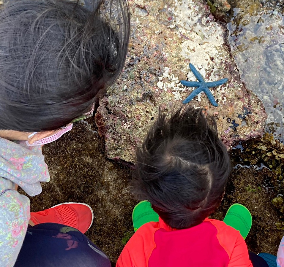 alt-潮間帶生態尋寶 墾丁國家公園秘探體驗： 一探珊瑚礁海岸的神秘-3