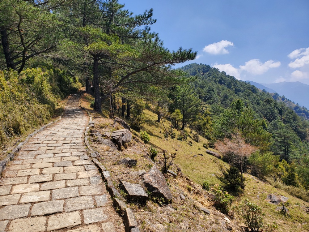 alt-玉山國家公園麟趾山步道-1