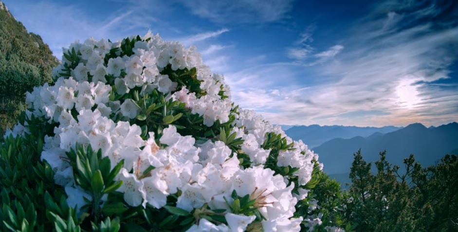 愛山的人是不會跟天、跟山過不去，面對大自然，都是要我們順著走，不是去跟它對抗，也不是去攻克它(玉山e國家公園管理處提供)