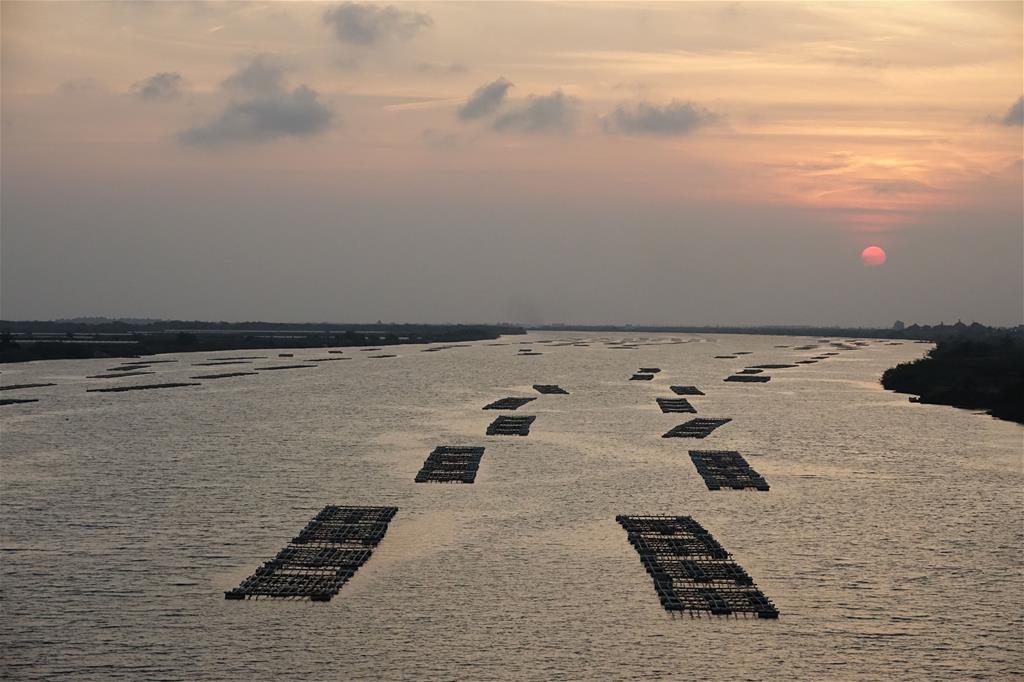 從曾文溪最西邊的國聖橋眺望夕陽美景(台江國家公園管理處提供)