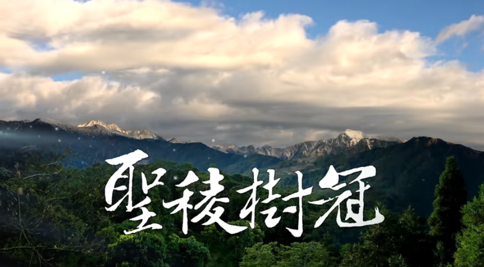 《聖稜樹冠》影片(雪霸國家公園管理處提供)