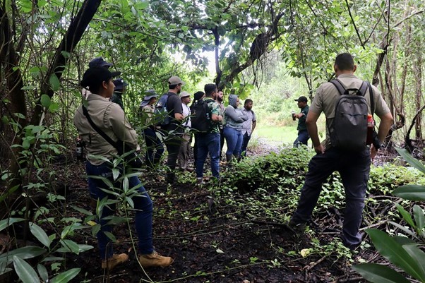 本圖為來自中美洲和多明尼加共和國等國家公園護林員，齊聚於薩爾瓦多巴拉德聖地牙哥，參加相機監測數據分析研討會的現場照片（圖片來源：IUCN/ Lopez Guijosa）