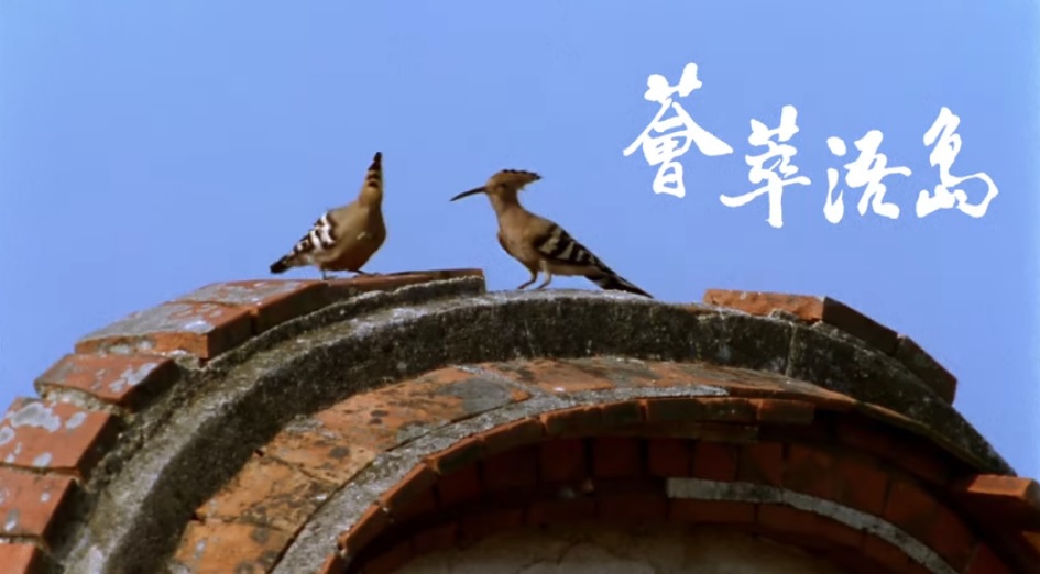 《薈萃浯島》影片(金門國家公園管理處提供)