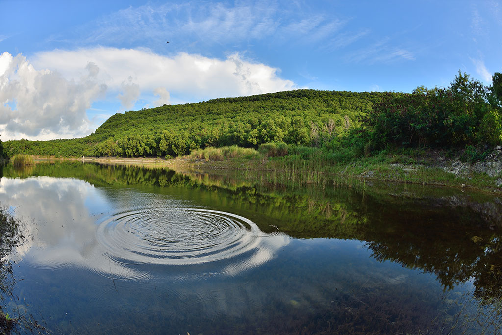 半屏湖溼地公園(國家自然公園管理處提供)
