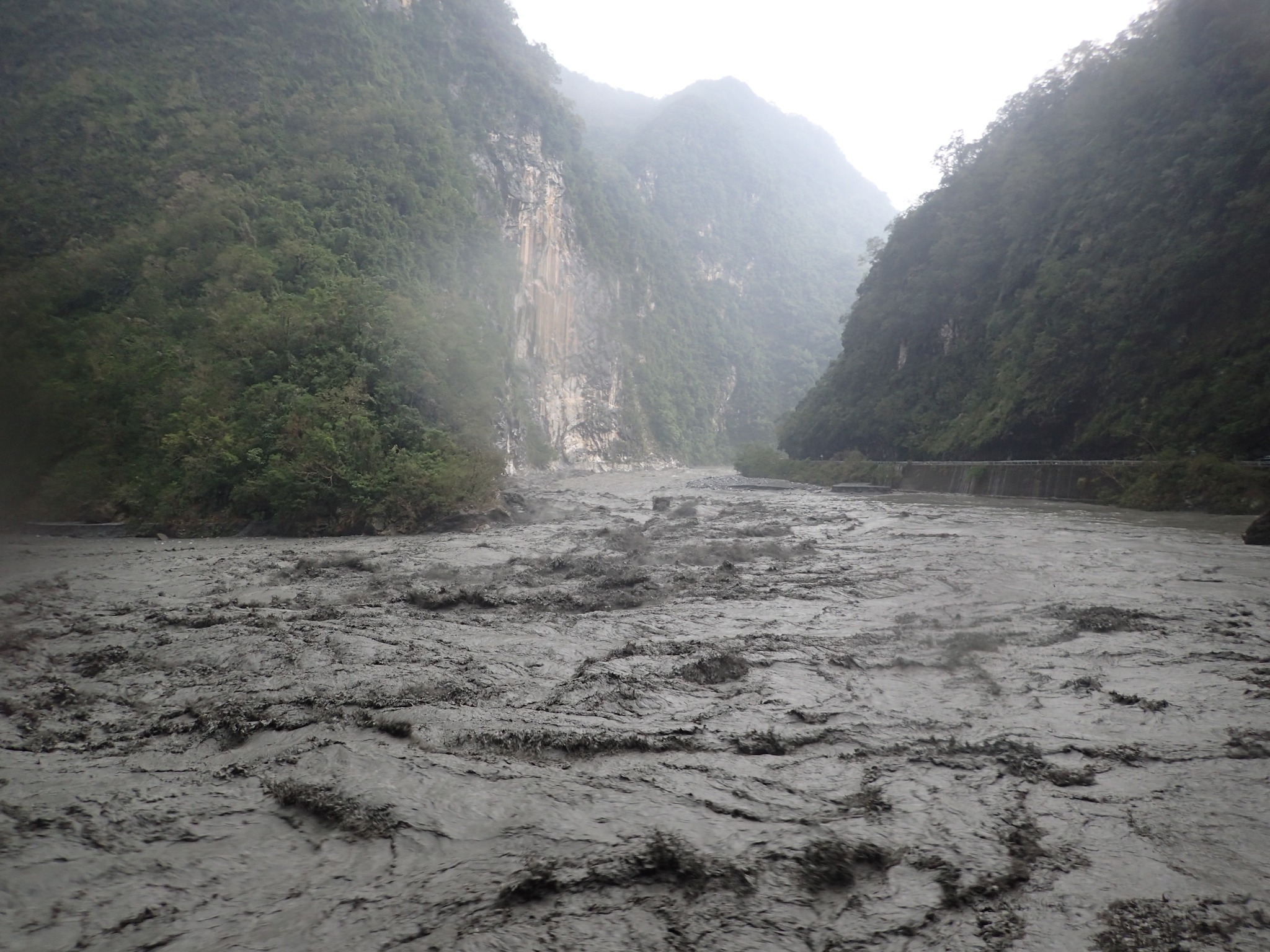 研究顯示，颱風帶來的洪水將大量植被和土壤中的碳排放到海洋中，這一過程可能有助於減緩全球暖化(太魯閣國家公園管理處提供)