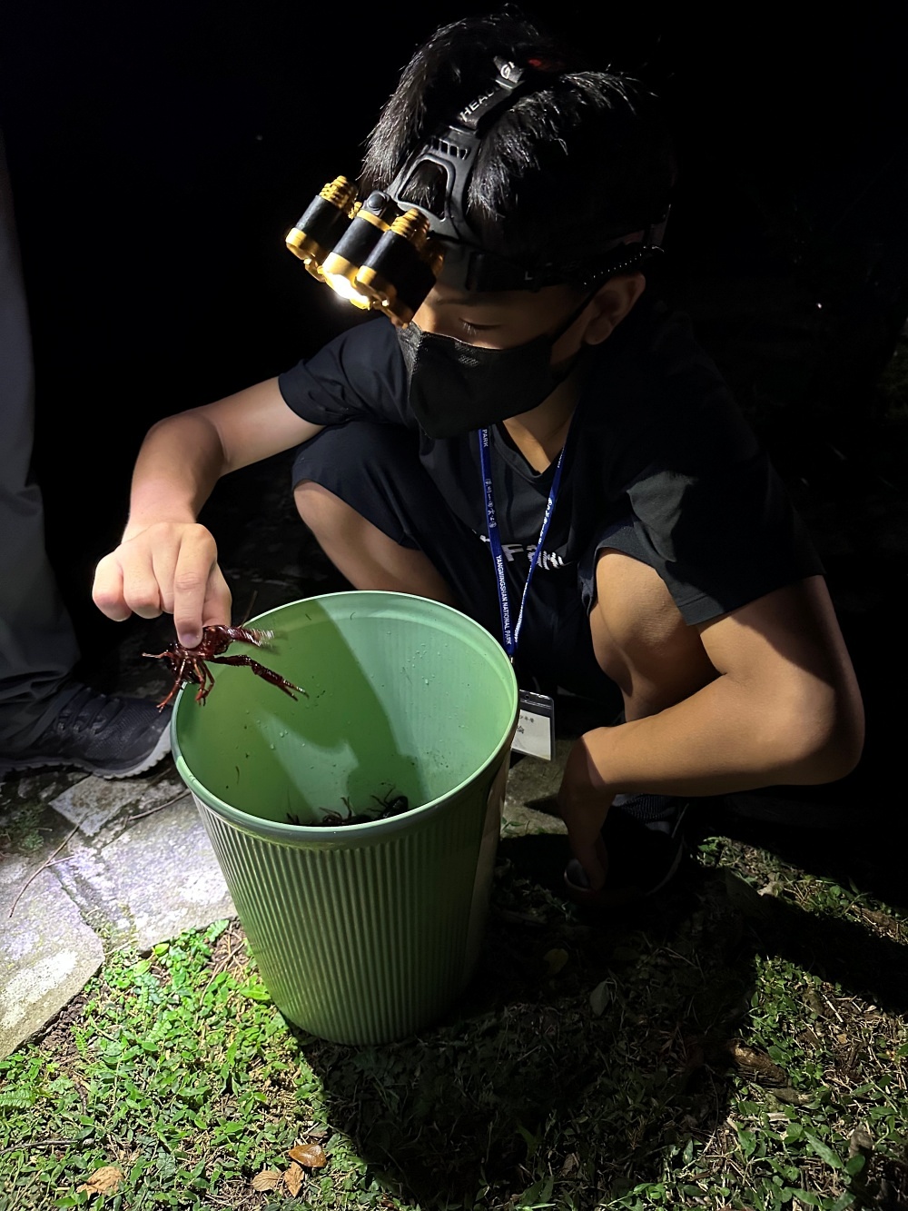 alt-以自然為師 走進山林觀星、攀樹、力行無痕山林--2024陽明山青少年營-3