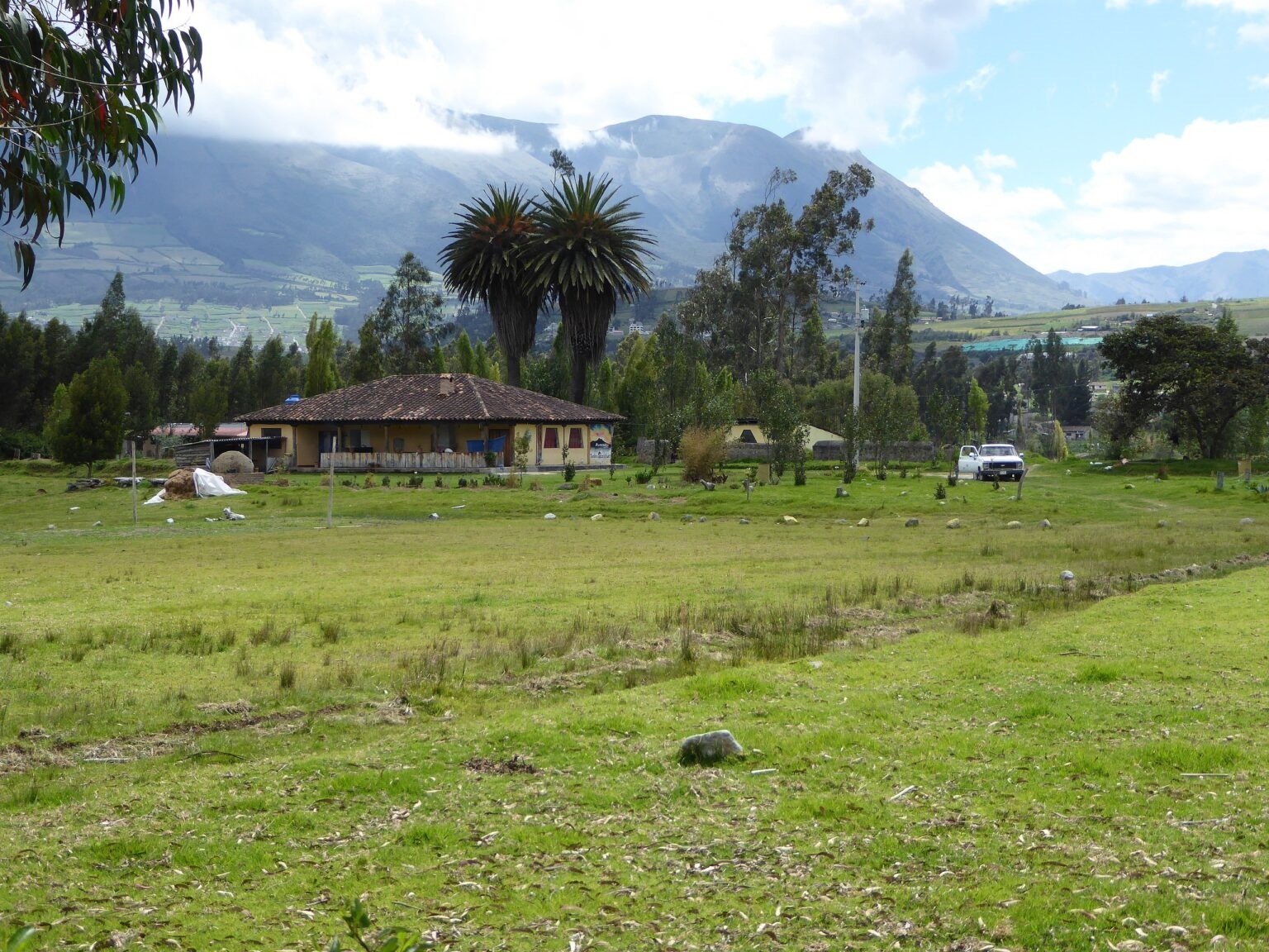 alt-買賣自然等於保育自然？國家公園投入生態系服務付費、生物信用額度和自然碳匯等機制之利弊分析-1