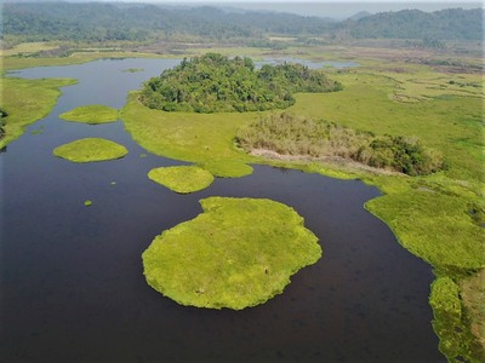 吉仙國家公園。照片提供：越南攝影師Thach Mai Hoang

