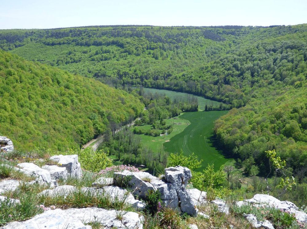 瓦爾蘇松區域自然保護區。照片提供：法國瓦爾蘇松區域自然保護區
