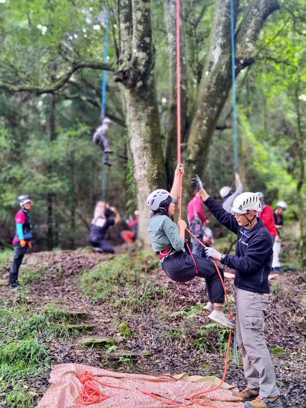 alt-跟小夥伴們組隊認識觀霧! 2024年雪霸國家公園暑期 Youth Camp 觀霧森林生態探索營-6