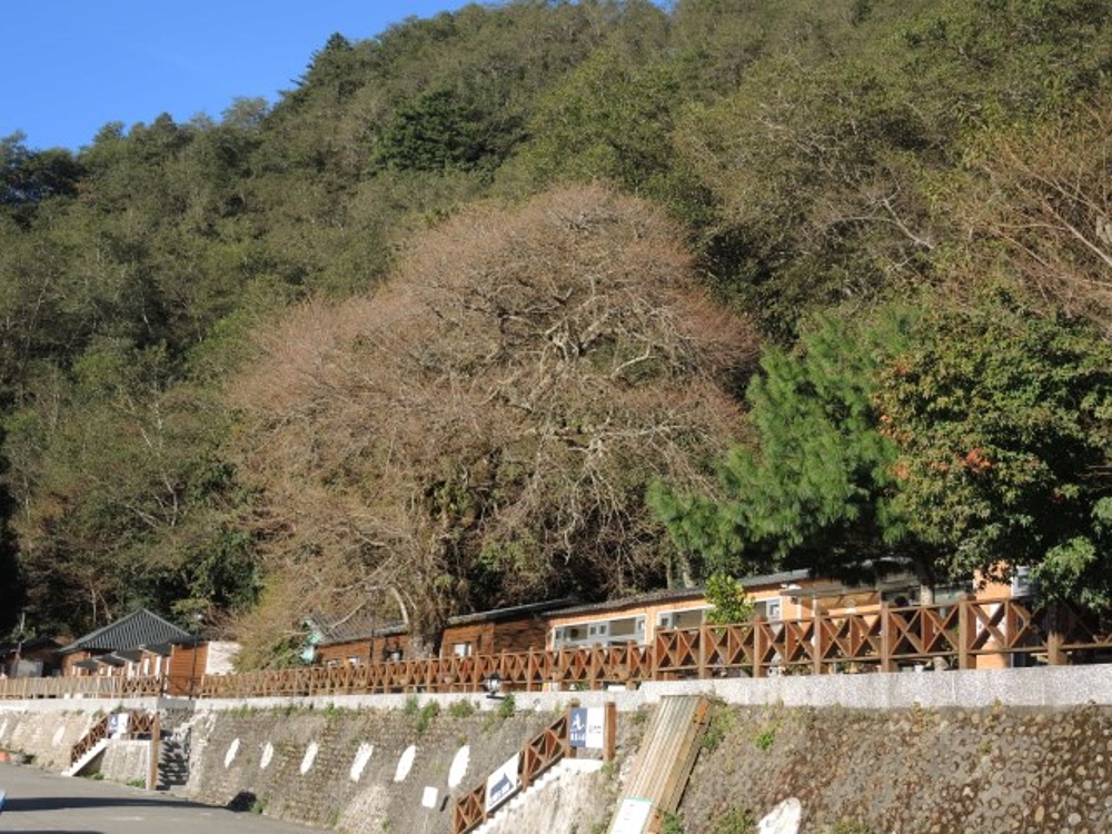 alt-雪霸國家公園觀霧瀑布步道 -1