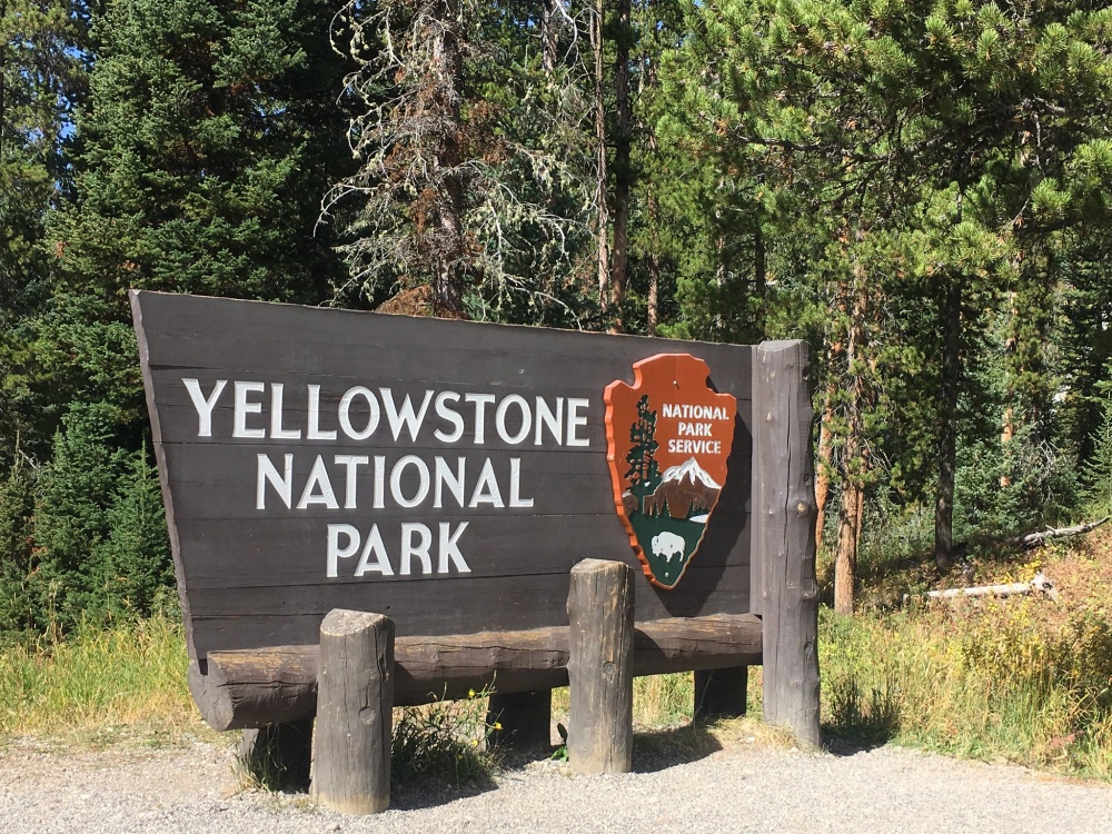 alt-在原生林計畫中受惠最多的6座美國國家公園-1