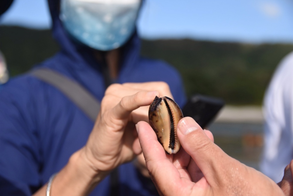 萬里桐推出「行萬里路」、「親近海」、「沙灘漫漫」等遊程,前者探訪背山面海小村莊,後者規劃一系列潮間帶行程,歡迎大家報名體驗(蛙趣自然生態顧問有限公司提供)