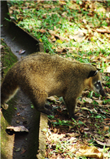 alt-200801008_other_06