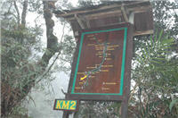 alt-馬來西亞京那峇魯國家公園-8