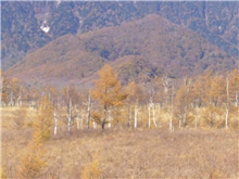 alt-日本自然公園管理體系-1