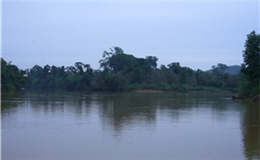 alt-協助越南Cat Tien National Park設立「瀕臨絕種靈長類中心」-2