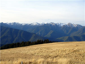 alt-美國奧林匹克國家公園 Olympic National Park-1