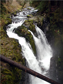 alt-美國奧林匹克國家公園 Olympic National Park-2