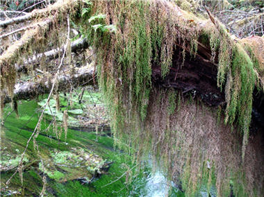 alt-20090223_other_06