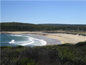 alt-20090318_other_05