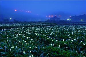 alt-旅行，是一段自我成長的過程-1