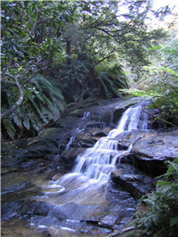 alt-20090513_other_06