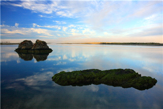 alt-20090527_other_05