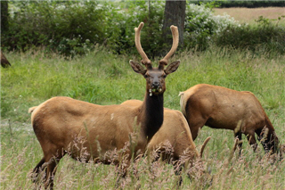 alt-20090608_other_05